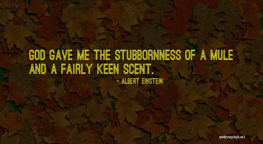 Interferes With Crossword Quotes By Albert Einstein Interferes With Crossword Quotes By Albert Einstein