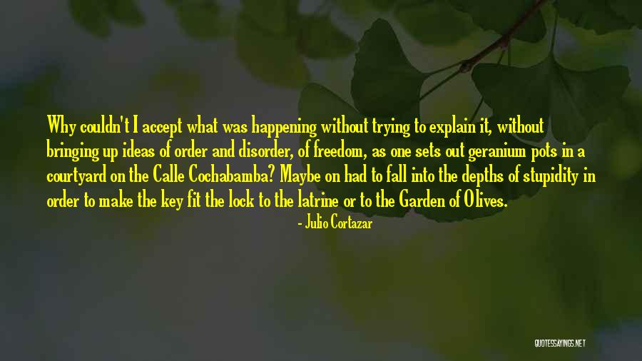 Interiores De Casas Quotes By Julio Cortazar Interiores De Casas Quotes By Julio Cortazar