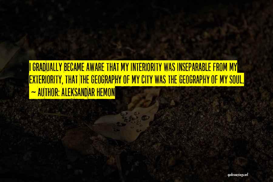 Interiority Quotes By Aleksandar Hemon