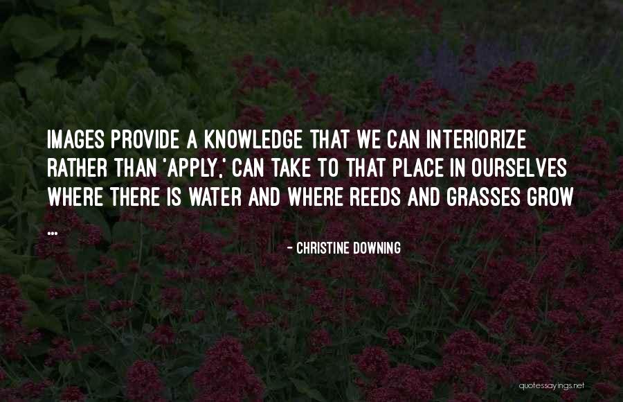 Interiorize Quotes By Christine Downing Interiorize Quotes By Christine Downing