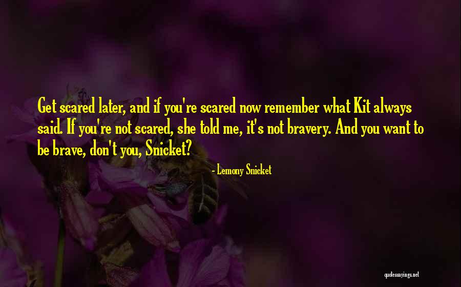 Interlanguage Examples Quotes By Lemony Snicket Interlanguage Examples Quotes By Lemony Snicket