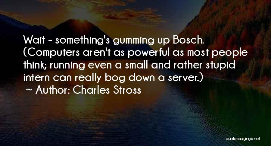 Intern Quotes By Charles Stross