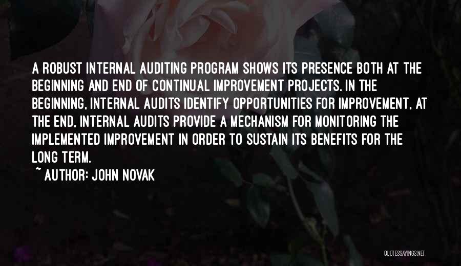 Internal Auditing Quotes By John Novak