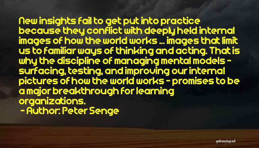 Internal Conflict Quotes By Peter Senge