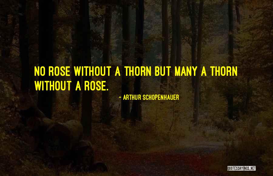 Internal Controls Quotes By Arthur Schopenhauer Internal Controls Quotes By Arthur Schopenhauer