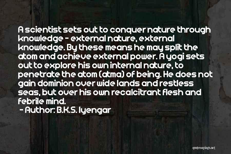 Internal External Quotes By B.K.S. Iyengar