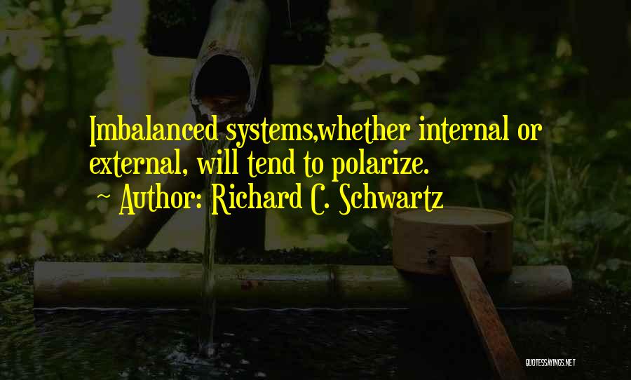 Internal Family Systems Quotes By Richard C. Schwartz