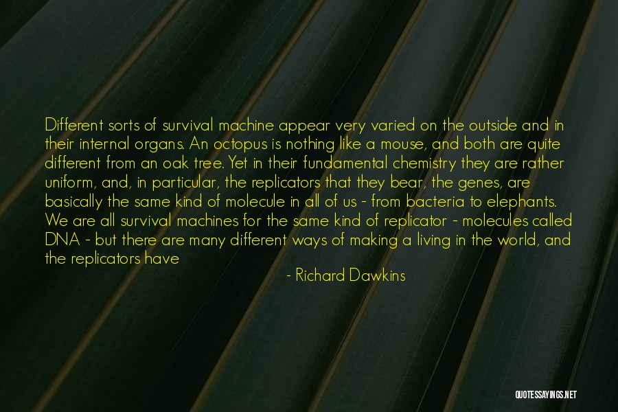 Internal World Quotes By Richard Dawkins Internal World Quotes By Richard Dawkins