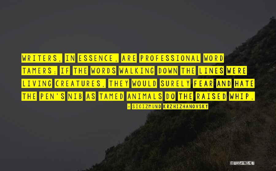 Internals Of A Transmission Quotes By Sigizmund Krzhizhanovsky Internals Of A Transmission Quotes By Sigizmund Krzhizhanovsky