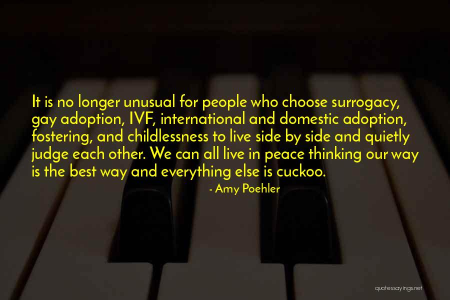 International Adoption Quotes By Amy Poehler