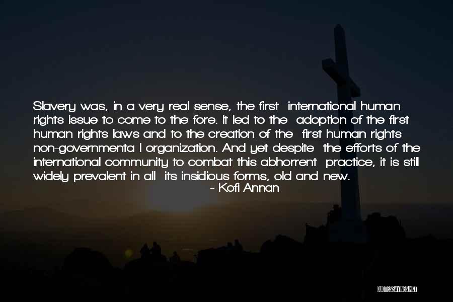 International Adoption Quotes By Kofi Annan