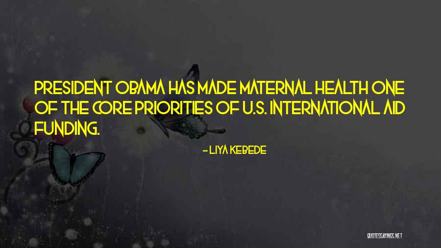 International Aid Quotes By Liya Kebede