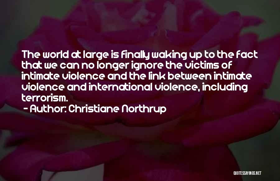 International Terrorism Quotes By Christiane Northrup