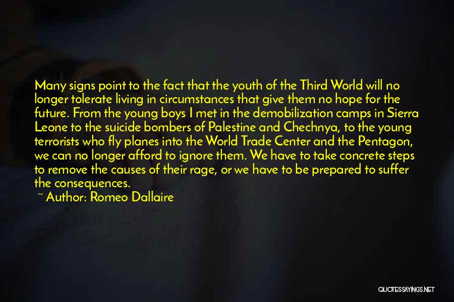 International Terrorism Quotes By Romeo Dallaire