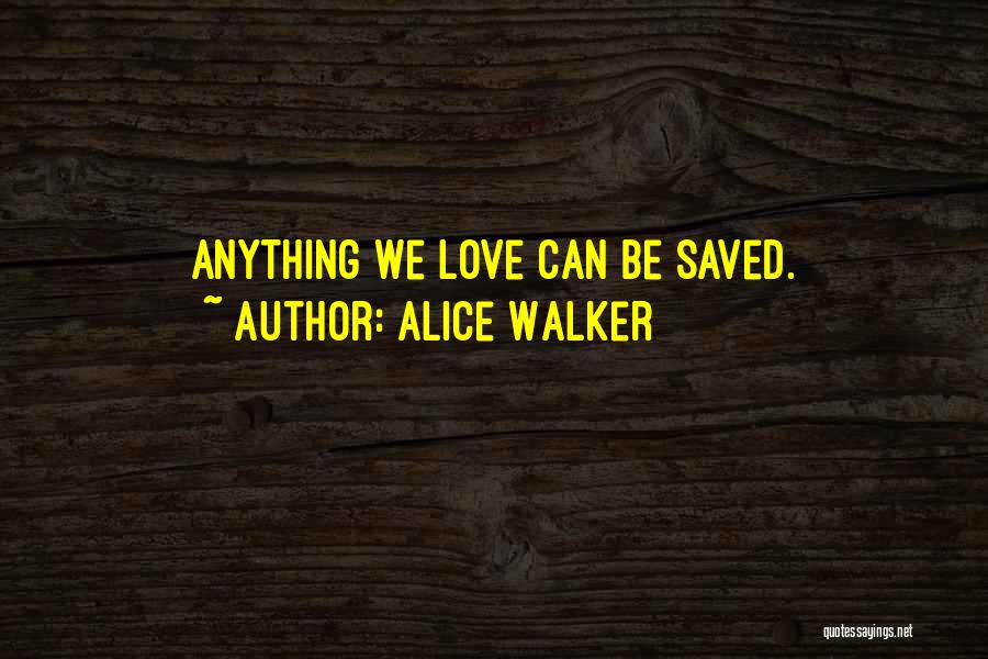 Internationalization Strategy Quotes By Alice Walker