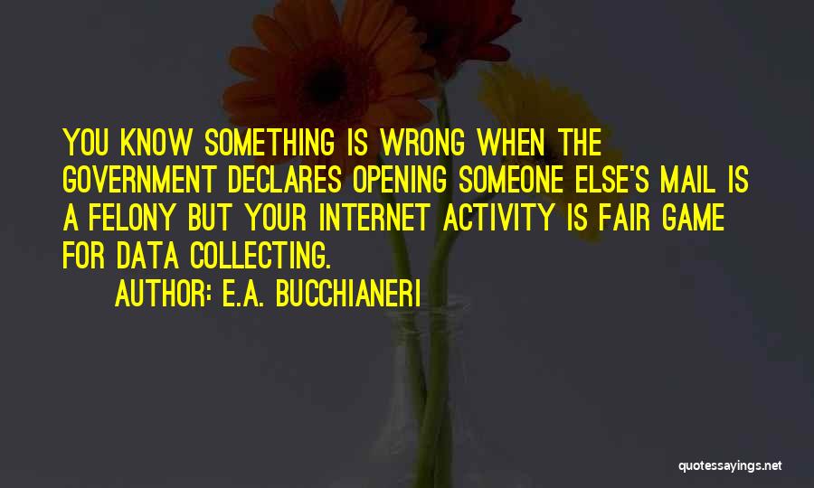 Internet And Privacy Quotes By E.A. Bucchianeri