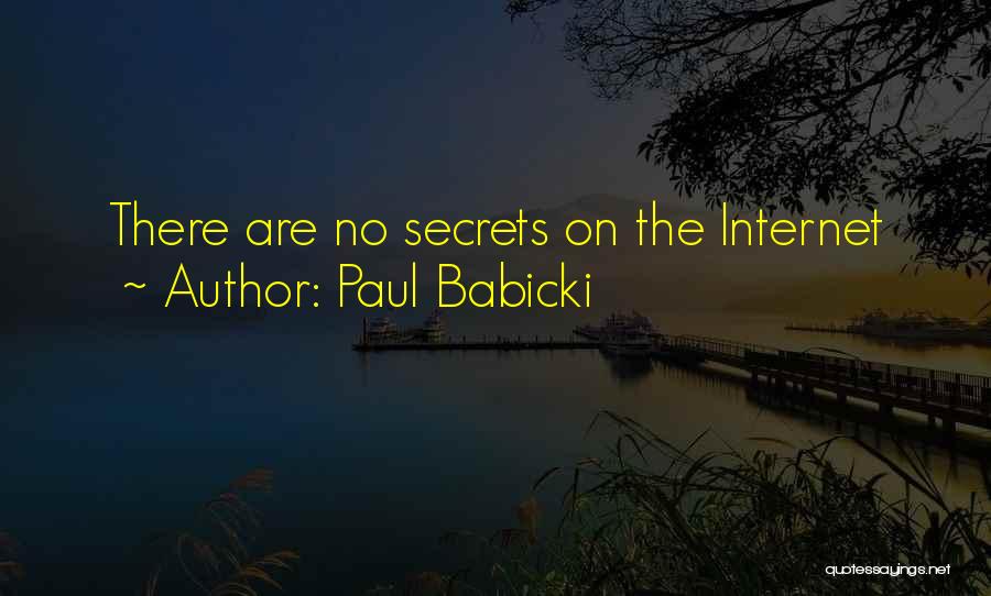 Internet And Privacy Quotes By Paul Babicki