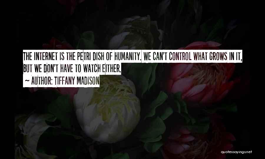 Internet And Society Quotes By Tiffany Madison