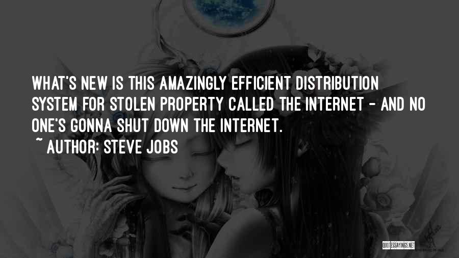 Internet And Technology Quotes By Steve Jobs