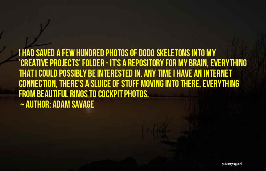 Internet Connection Quotes By Adam Savage