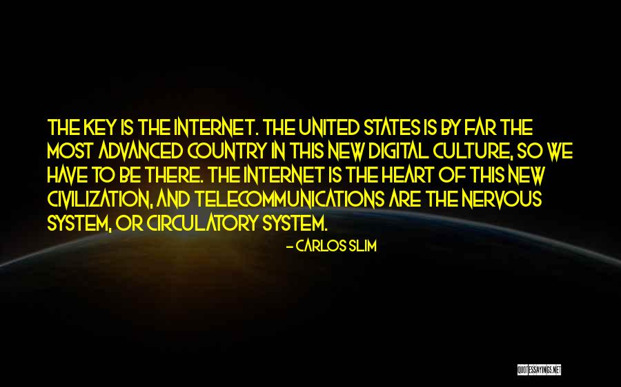 Internet Culture Quotes By Carlos Slim Internet Culture Quotes By Carlos Slim