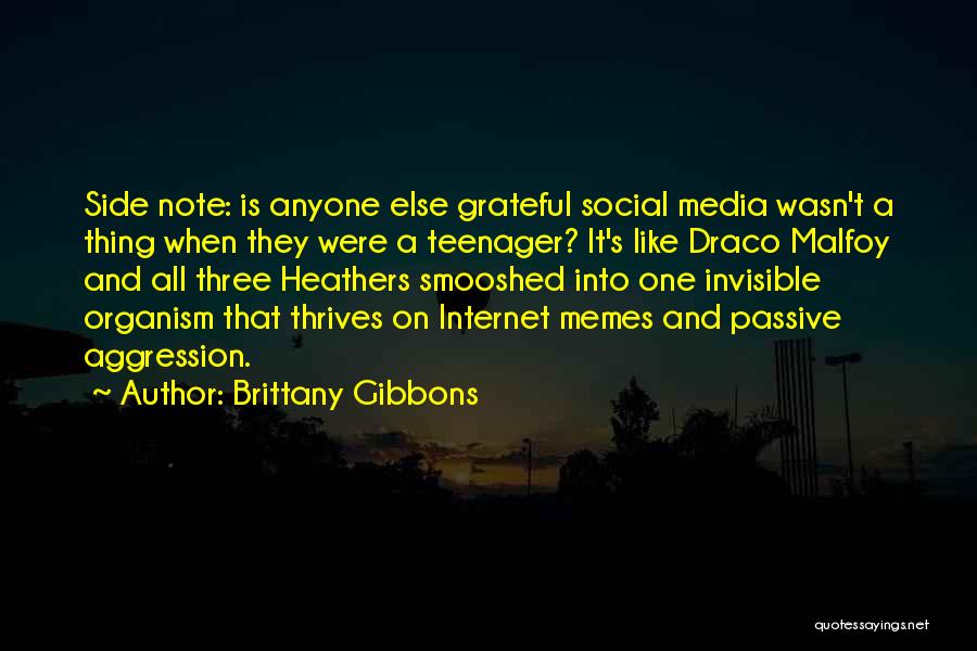 Internet Memes Quotes By Brittany Gibbons