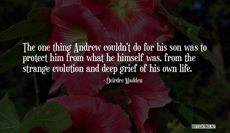 Internet Troll Quotes By Deirdre Madden Internet Troll Quotes By Deirdre Madden
