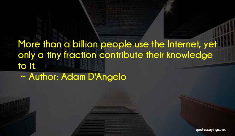 Internet Use Quotes By Adam D'Angelo