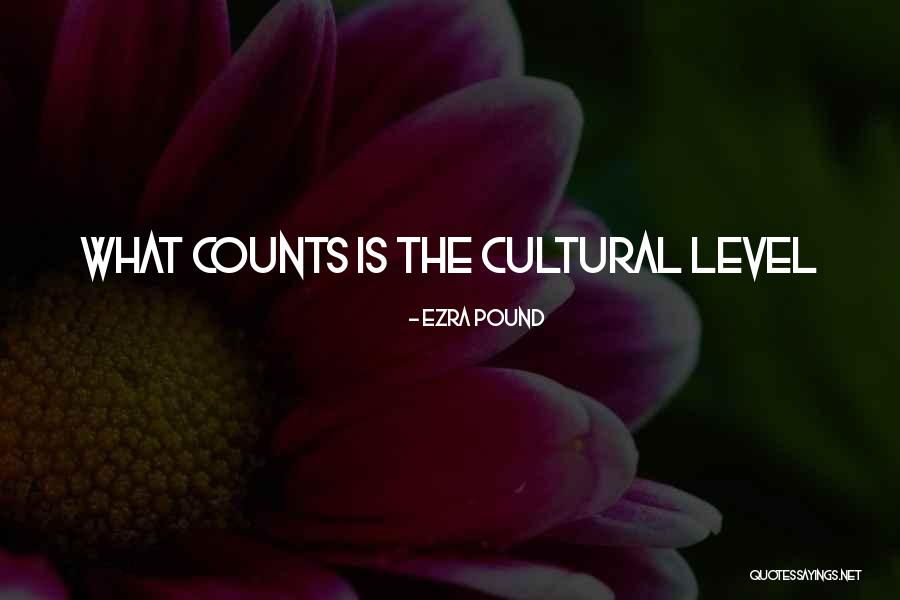 Internetushka Quotes By Ezra Pound