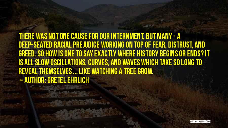 Internment Quotes By Gretel Ehrlich