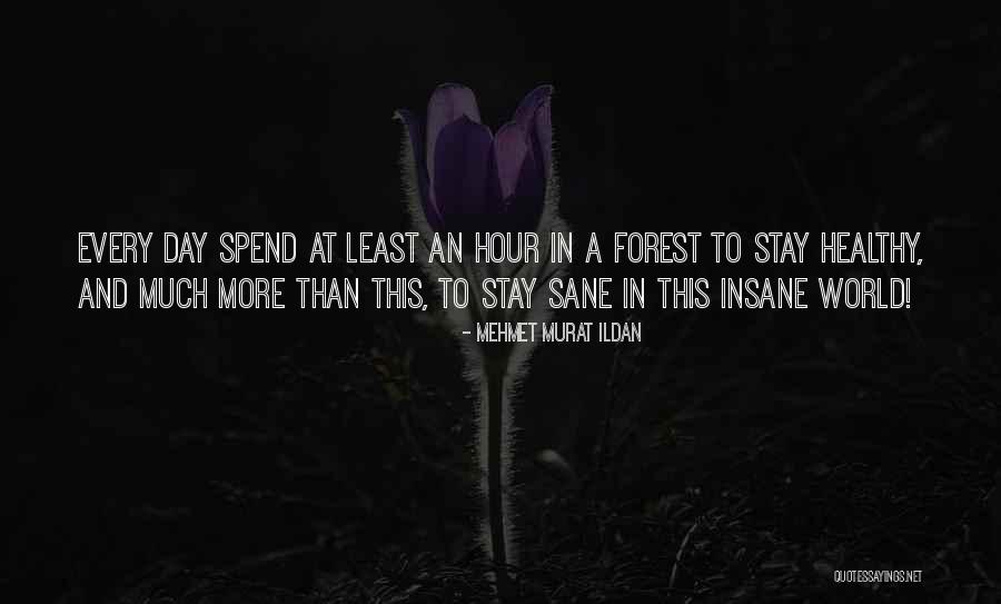 Internodes Quotes By Mehmet Murat Ildan Internodes Quotes By Mehmet Murat Ildan