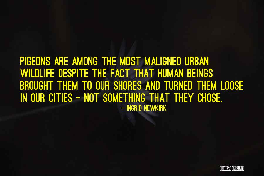 Interposing In Chess Quotes By Ingrid Newkirk Interposing In Chess Quotes By Ingrid Newkirk