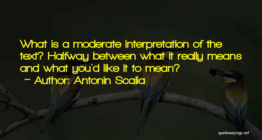 Interpretation Quotes By Antonin Scalia