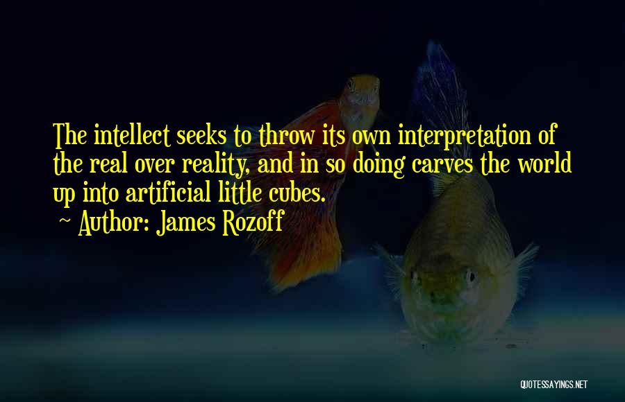 Interpretation Quotes By James Rozoff