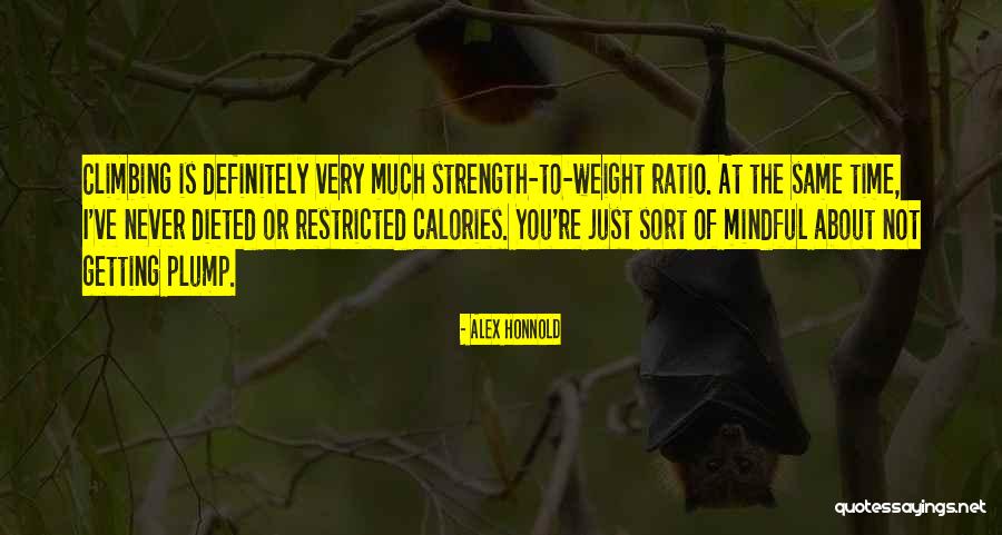 Interpretative Paradigm Quotes By Alex Honnold Interpretative Paradigm Quotes By Alex Honnold