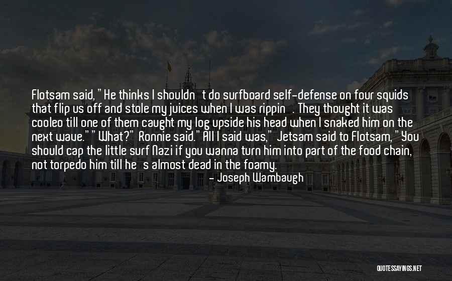Interprocess Synchronization Quotes By Joseph Wambaugh Interprocess Synchronization Quotes By Joseph Wambaugh