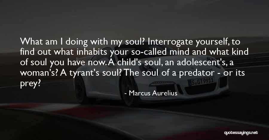 Interrogate Quotes By Marcus Aurelius