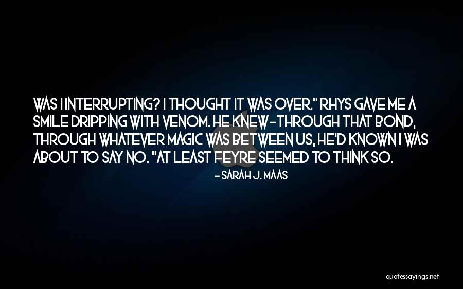 Interrupting Quotes By Sarah J. Maas