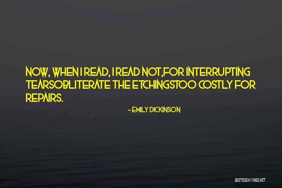 Interrupting Someone Quotes By Emily Dickinson