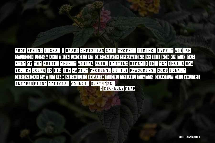 Interrupting Someone Quotes By Richelle Mead Interrupting Someone Quotes By Richelle Mead