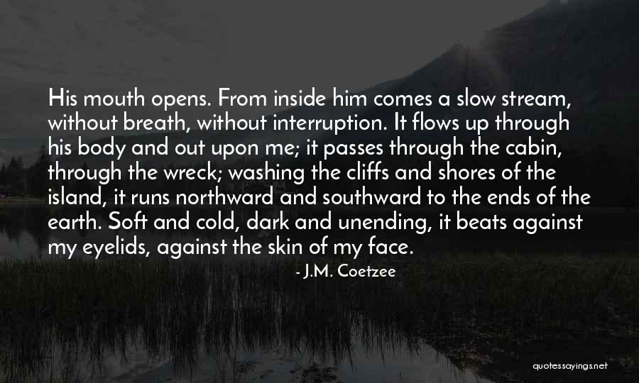 Interruption Quotes By J.M. Coetzee