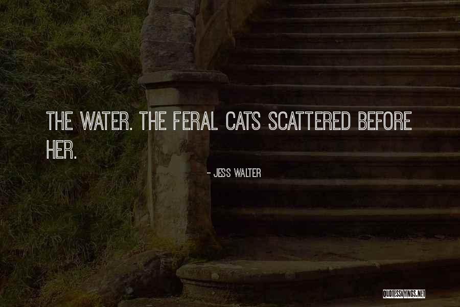 Intersas Quotes By Jess Walter Intersas Quotes By Jess Walter