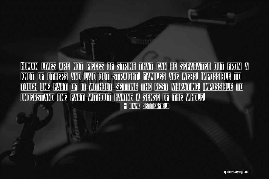 Interseccion De Conjuntos Quotes By Diane Setterfield Interseccion De Conjuntos Quotes By Diane Setterfield