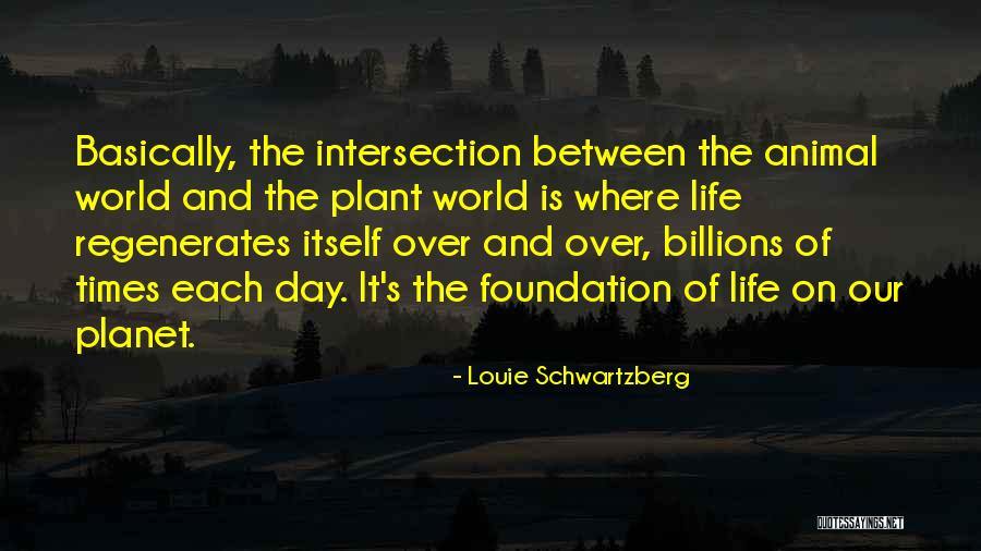 Intersection Of Life Quotes By Louie Schwartzberg Intersection Of Life Quotes By Louie Schwartzberg