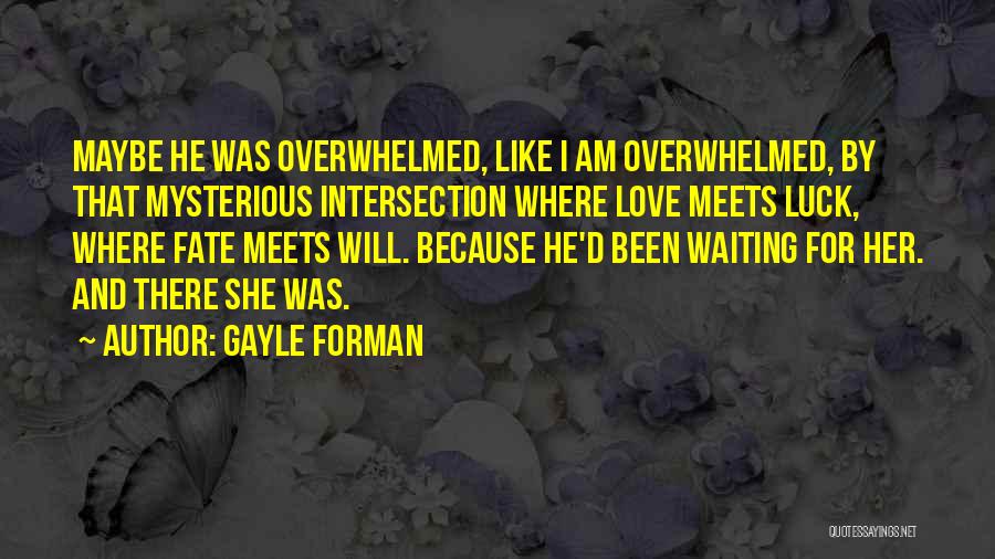 Intersection Quotes By Gayle Forman