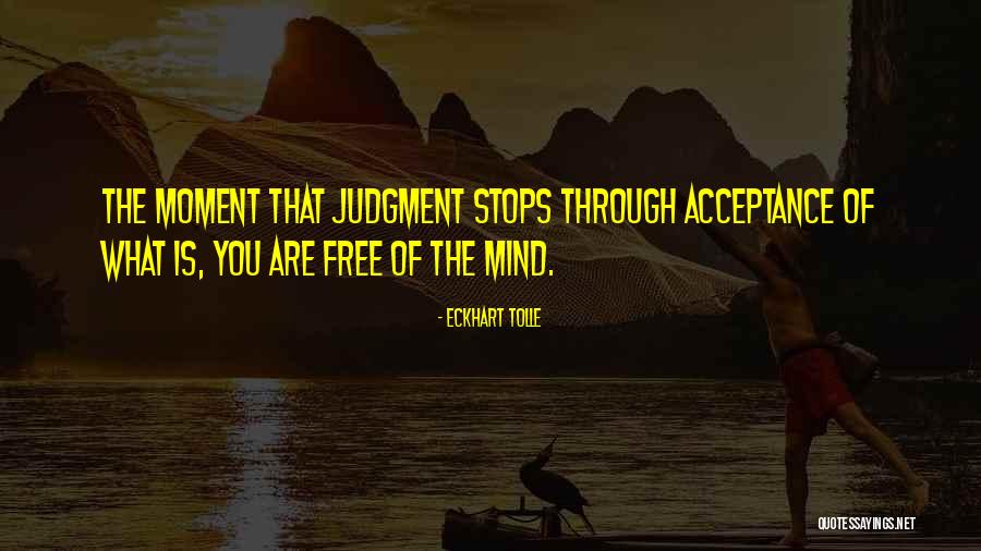 Intersectionality Examples Quotes By Eckhart Tolle Intersectionality Examples Quotes By Eckhart Tolle