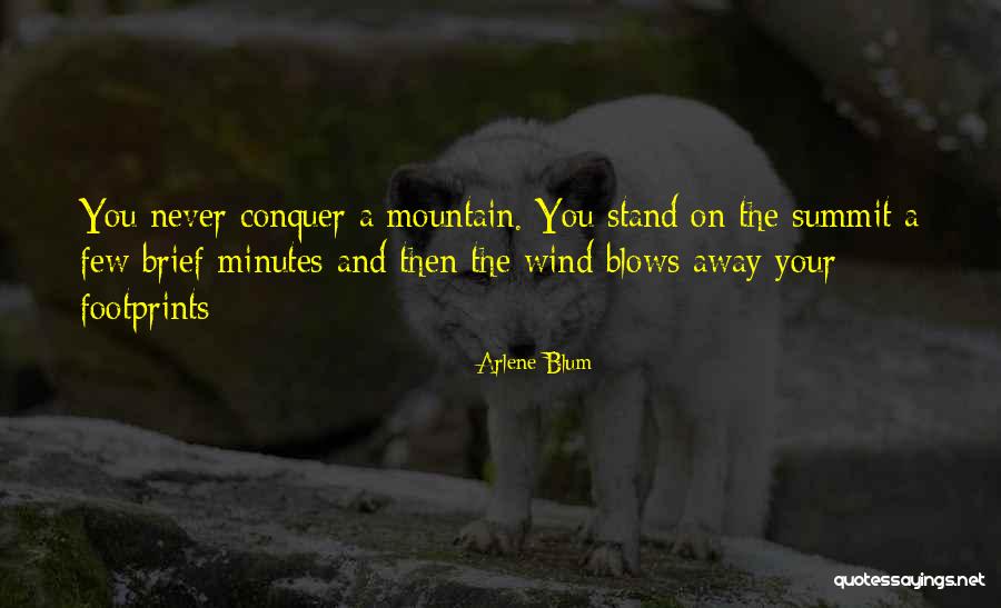 Intersectionality Feminism Quotes By Arlene Blum Intersectionality Feminism Quotes By Arlene Blum