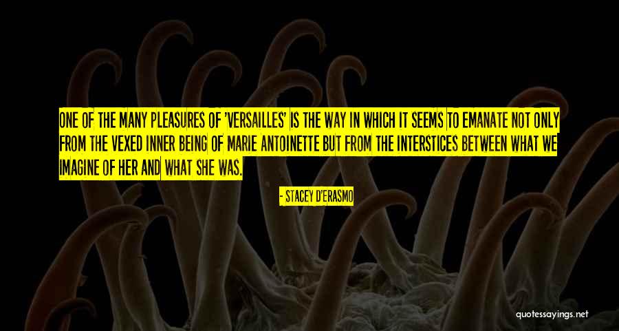 Interstices Quotes By Stacey D'Erasmo Interstices Quotes By Stacey D'Erasmo