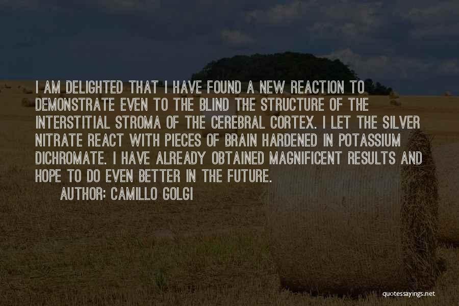 Interstitial Quotes By Camillo Golgi