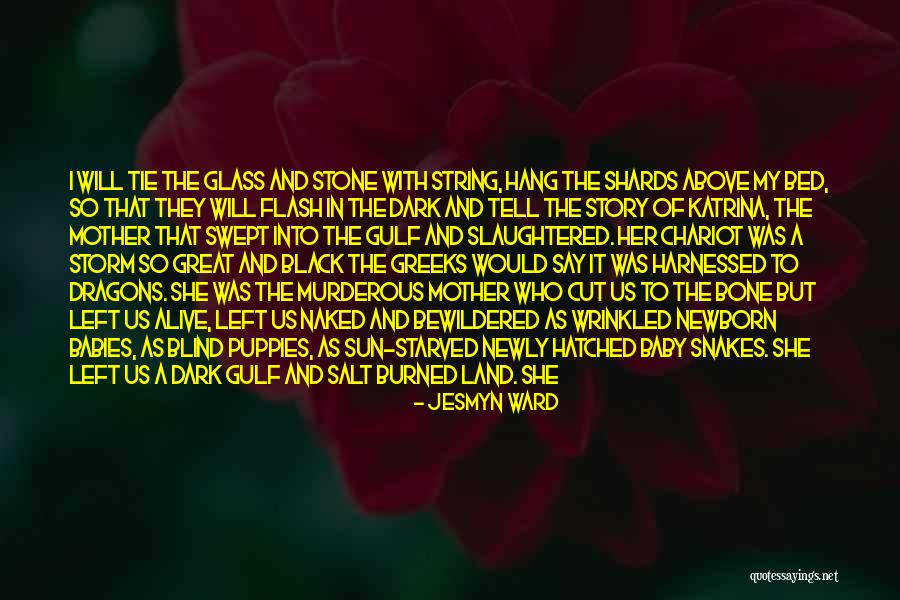 Intervallis Quotes By Jesmyn Ward Intervallis Quotes By Jesmyn Ward